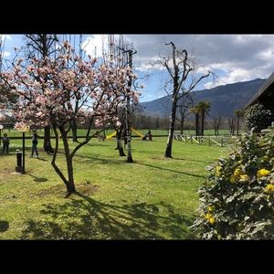 Meet your Posher, Dhouha